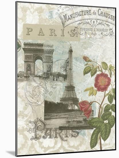 Visiting Paris-Jennifer Goldberger-Mounted Art Print