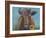 Visiting-Marnie Bourque-Framed Giclee Print