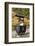 Visitor mine dark ground close Wieden, Black Forest, Baden-Wurttemberg, Germany-Markus Lange-Framed Photographic Print