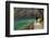 Visitor on Wooden Walkway Path over Crystal Clear Waters of Plitvice Lakes National Park-Simon Montgomery-Framed Photographic Print