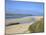 Visitors and Tourists Walking Dogs on Beach at Camel Estuary Near Rock, North Cornwall, England, Uk-Peter Barritt-Mounted Photographic Print