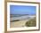 Visitors and Tourists Walking Dogs on Beach at Camel Estuary Near Rock, North Cornwall, England, Uk-Peter Barritt-Framed Photographic Print