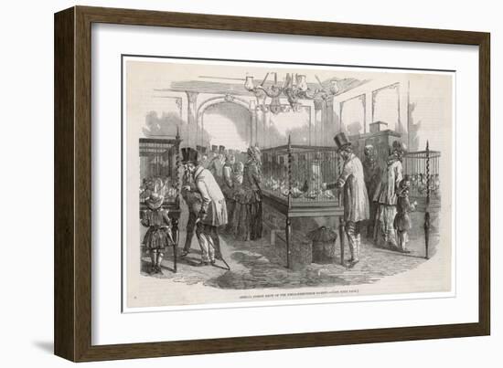 Visitors at the Philo- Peristeron Society's Annual Pigeon Show London-null-Framed Art Print