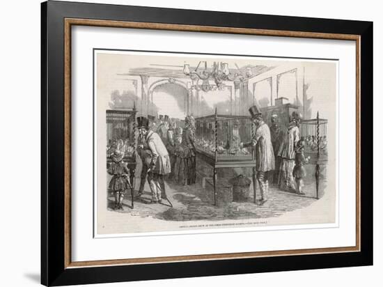 Visitors at the Philo- Peristeron Society's Annual Pigeon Show London-null-Framed Art Print