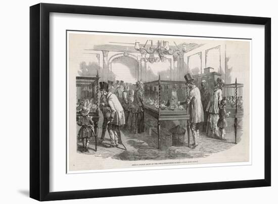 Visitors at the Philo- Peristeron Society's Annual Pigeon Show London-null-Framed Art Print