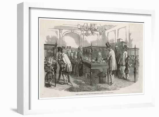 Visitors at the Philo- Peristeron Society's Annual Pigeon Show London-null-Framed Art Print