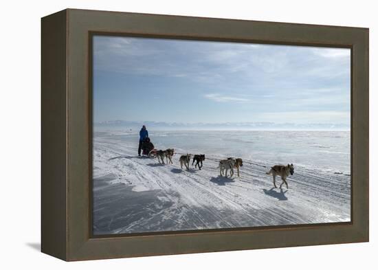 Visitors Enjoying Dog Sledding-Louise Murray-Framed Premier Image Canvas