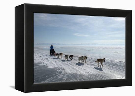 Visitors Enjoying Dog Sledding-Louise Murray-Framed Premier Image Canvas