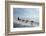 Visitors Enjoying Dog Sledding-Louise Murray-Framed Photographic Print