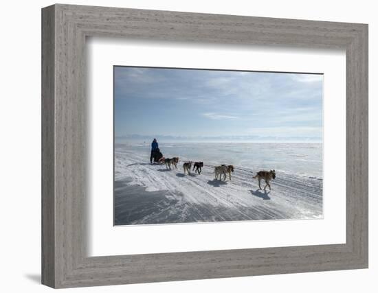 Visitors Enjoying Dog Sledding-Louise Murray-Framed Photographic Print