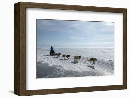 Visitors Enjoying Dog Sledding-Louise Murray-Framed Photographic Print