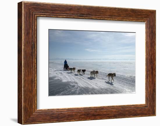 Visitors Enjoying Dog Sledding-Louise Murray-Framed Photographic Print