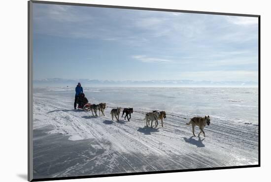 Visitors Enjoying Dog Sledding-Louise Murray-Mounted Photographic Print