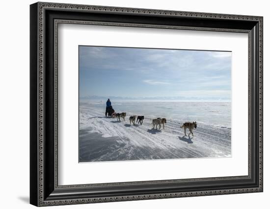 Visitors Enjoying Dog Sledding-Louise Murray-Framed Photographic Print
