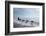 Visitors Enjoying Dog Sledding-Louise Murray-Framed Photographic Print