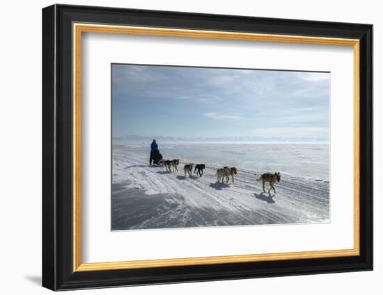 Visitors Enjoying Dog Sledding-Louise Murray-Framed Photographic Print