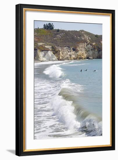 Visitors Enjoying the Ocean, Avila Beach, California, USA-Cindy Miller Hopkins-Framed Photographic Print