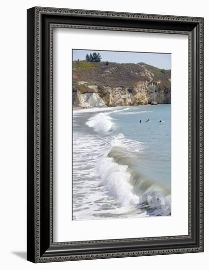 Visitors Enjoying the Ocean, Avila Beach, California, USA-Cindy Miller Hopkins-Framed Photographic Print