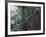 Visitors on Suspension Bridge Through Forest Canopy, Monteverde Cloud Forest, Costa Rica-Scott T. Smith-Framed Photographic Print