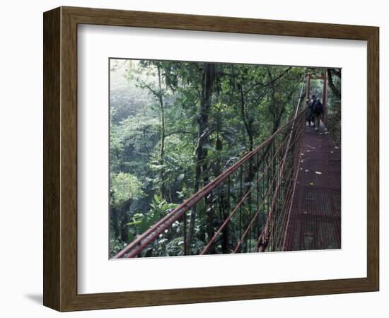 Visitors on Suspension Bridge Through Forest Canopy, Monteverde Cloud Forest, Costa Rica-Scott T. Smith-Framed Photographic Print