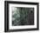 Visitors on Suspension Bridge Through Forest Canopy, Monteverde Cloud Forest, Costa Rica-Scott T. Smith-Framed Photographic Print