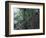 Visitors on Suspension Bridge Through Forest Canopy, Monteverde Cloud Forest, Costa Rica-Scott T. Smith-Framed Photographic Print