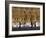 Visitors to the Buddhist Temples of Bagan, Myanmar (Burma)-Julio Etchart-Framed Photographic Print