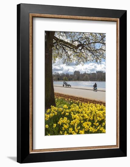 Visitors Walking Along the Serpentine with Daffodils in the Foreground, Hyde Park, London, England-Charlie Harding-Framed Photographic Print
