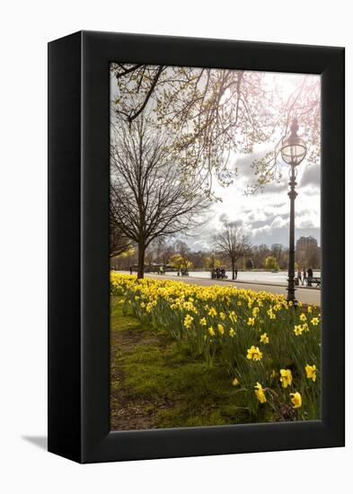Visitors Walking Along the Serpentine with Daffodils in the Foreground, Hyde Park, London-Charlie Harding-Framed Premier Image Canvas