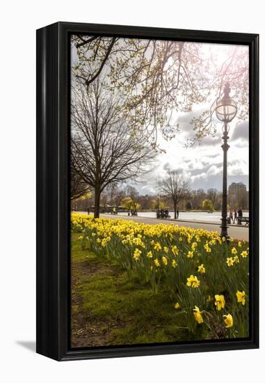 Visitors Walking Along the Serpentine with Daffodils in the Foreground, Hyde Park, London-Charlie Harding-Framed Premier Image Canvas