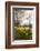 Visitors Walking Along the Serpentine with Daffodils in the Foreground, Hyde Park, London-Charlie Harding-Framed Photographic Print