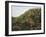 Vista de Deia-Montserrat Masdeu-Framed Giclee Print