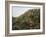 Vista de Deia-Montserrat Masdeu-Framed Giclee Print