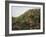 Vista de Deia-Montserrat Masdeu-Framed Giclee Print