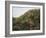 Vista de Deia-Montserrat Masdeu-Framed Giclee Print