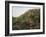 Vista de Deia-Montserrat Masdeu-Framed Giclee Print