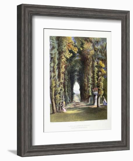 Vista' in the Gardens of Teddesley, Seat of the Right Honorable Lord Hatherton, 1857-E. Adveno Brooke-Framed Giclee Print