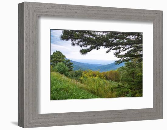 Vista, Shenandoah, Blue Ridge Parkway, Smoky Mountains, USA.-Anna Miller-Framed Photographic Print