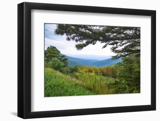 Vista, Shenandoah, Blue Ridge Parkway, Smoky Mountains, USA.-Anna Miller-Framed Photographic Print