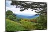 Vista, Shenandoah, Blue Ridge Parkway, Smoky Mountains, USA.-Anna Miller-Mounted Photographic Print