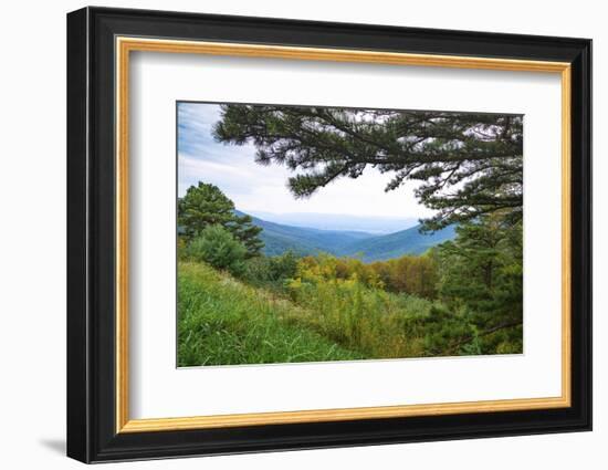 Vista, Shenandoah, Blue Ridge Parkway, Smoky Mountains, USA.-Anna Miller-Framed Photographic Print