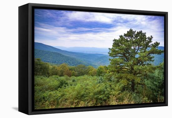 Vista, Shenandoah, Blue Ridge Parkway, Smoky Mountains, USA.-Anna Miller-Framed Premier Image Canvas