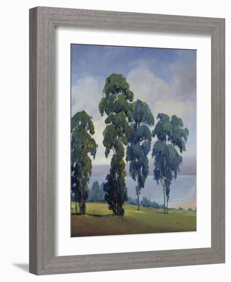 Vista VIew-Tim O'toole-Framed Giclee Print