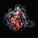 Haemoglobin Molecule, Artwork-Visual Science-Premium Photographic Print