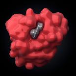 Haemoglobin Molecule, Artwork-Visual Science-Premium Photographic Print