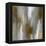 Vital-Carey Spencer-Framed Stretched Canvas