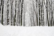 White Brick Wall and Wood Floor Background-Vitaliy Pakhnyushchyy-Photographic Print