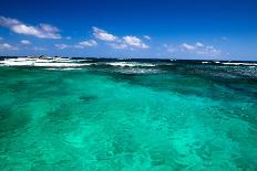 Caribbean Starfish over Sand Beach-Vitaliy Pakhnyushchyy-Photographic Print