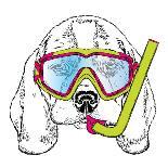 Cute Puppy Wearing a Mask for Diving. Vector Illustration. Portrait of a Dog.-Vitaly Grin-Framed Premium Giclee Print