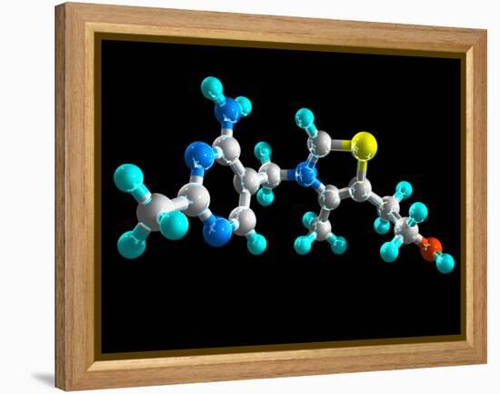 Vitamin B1, Molecular Model-Laguna Design-Framed Premier Image Canvas